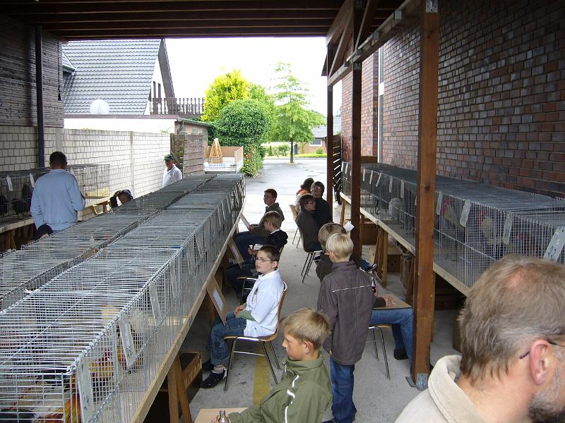 Haehnewettkraehen 2009 003.jpg